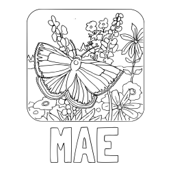 Online Created Coloring Page - MAE Coloring Page and Butterfly on Flower Coloring Page