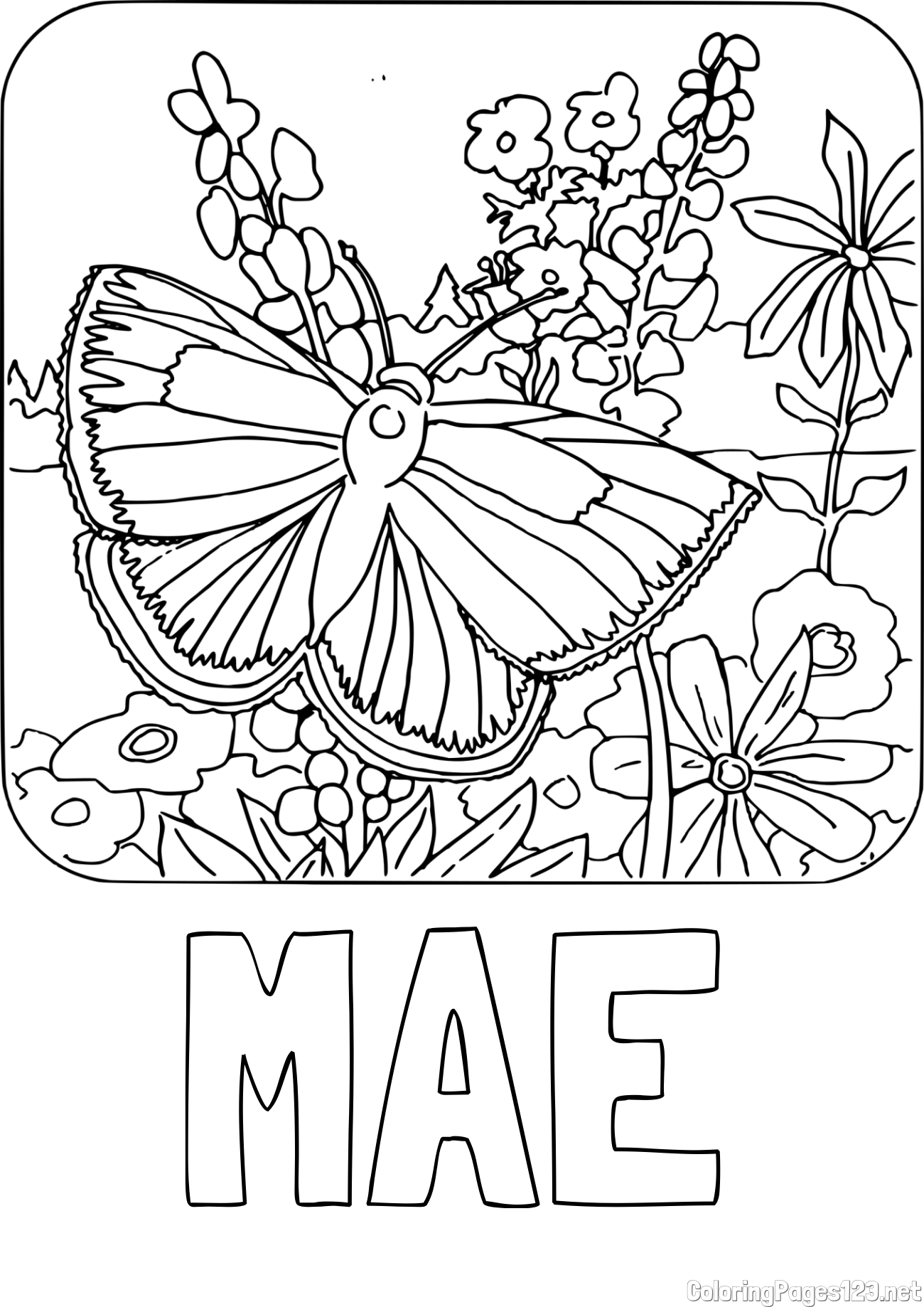 MAE Coloring Page and Butterfly on Flower Coloring Page