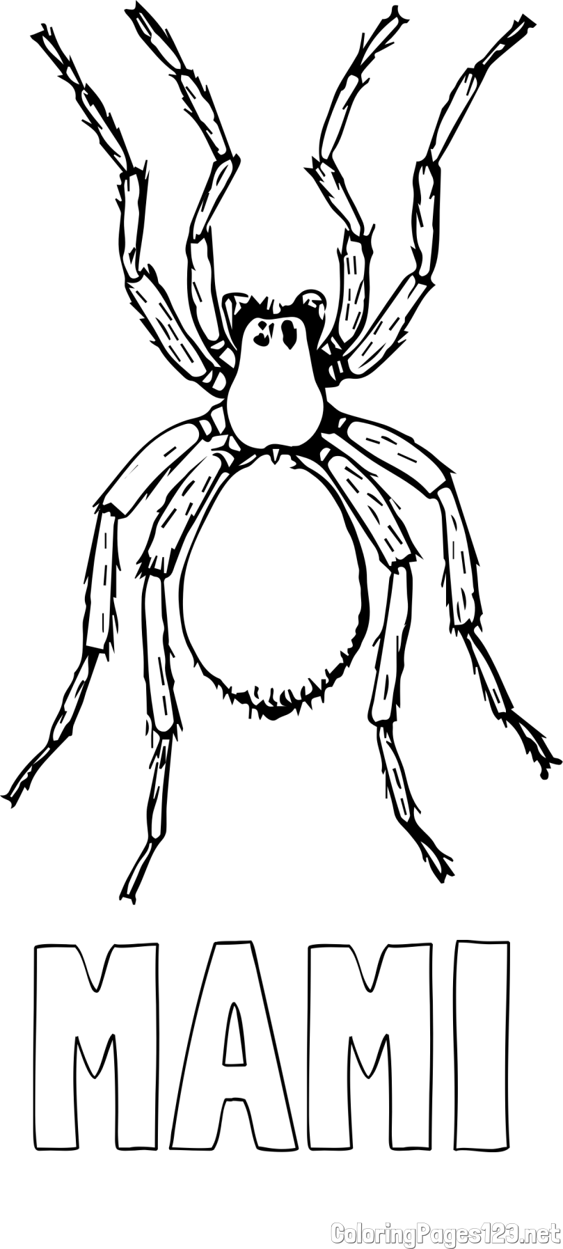 MAMI Coloring Page and Realistic Tarantula Coloring Page