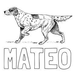 Online Created Coloring Page - MATEO Coloring Page and Coloring Page of a Hunting Dog