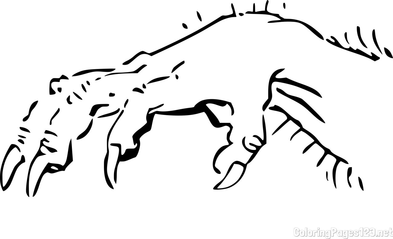Monster Hand Coloring Page