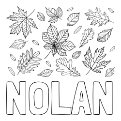 Online Created Coloring Page - NOLAN Coloring Page and Autumn Leaves Coloring Page