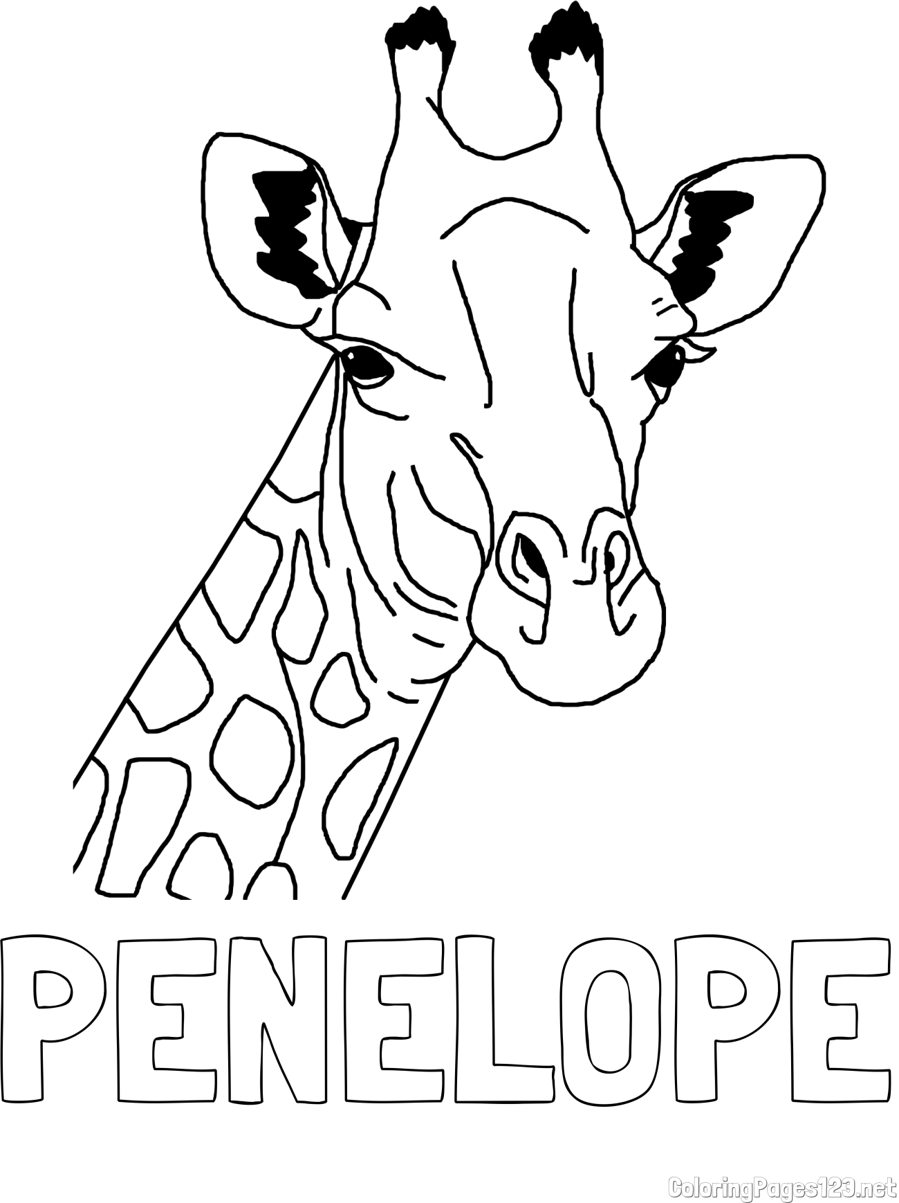PENELOPE Coloring Page and Beautiful Coloring Page of a Giraffe's Head