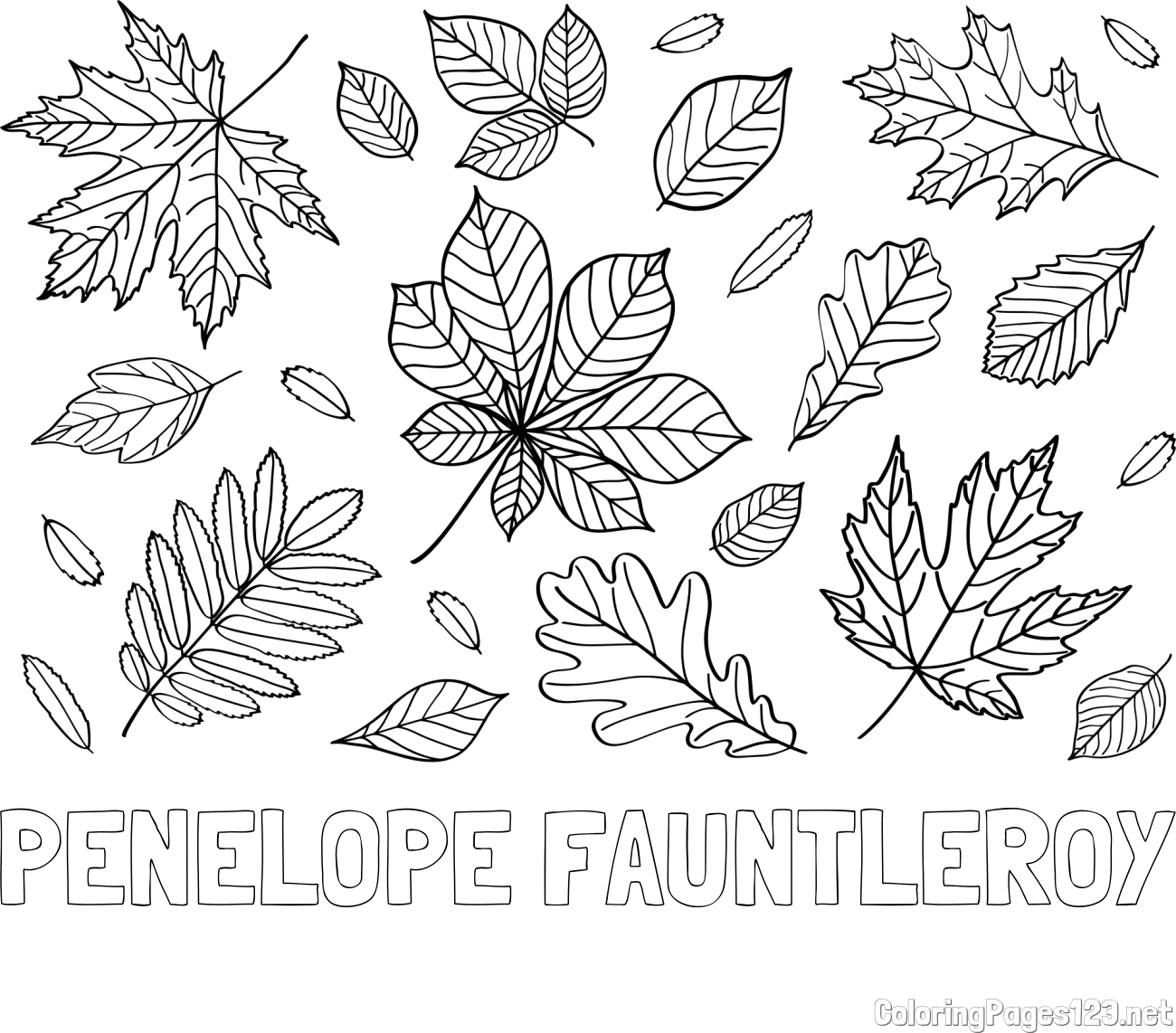 PENELOPE FAUNTLEROY Coloring Page and Autumn Leaves Coloring Page