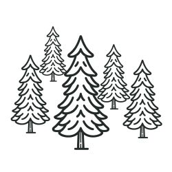 Pine Trees Coloring Page for Kids