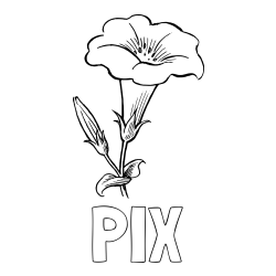 Online Created Coloring Page - PIX Coloring Page alongside Realistic Gamopetalous Flower Coloring Page