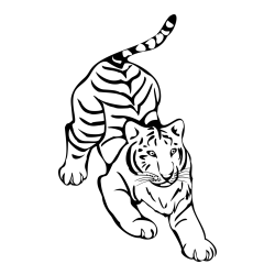 Playful Tiger Coloring Page
