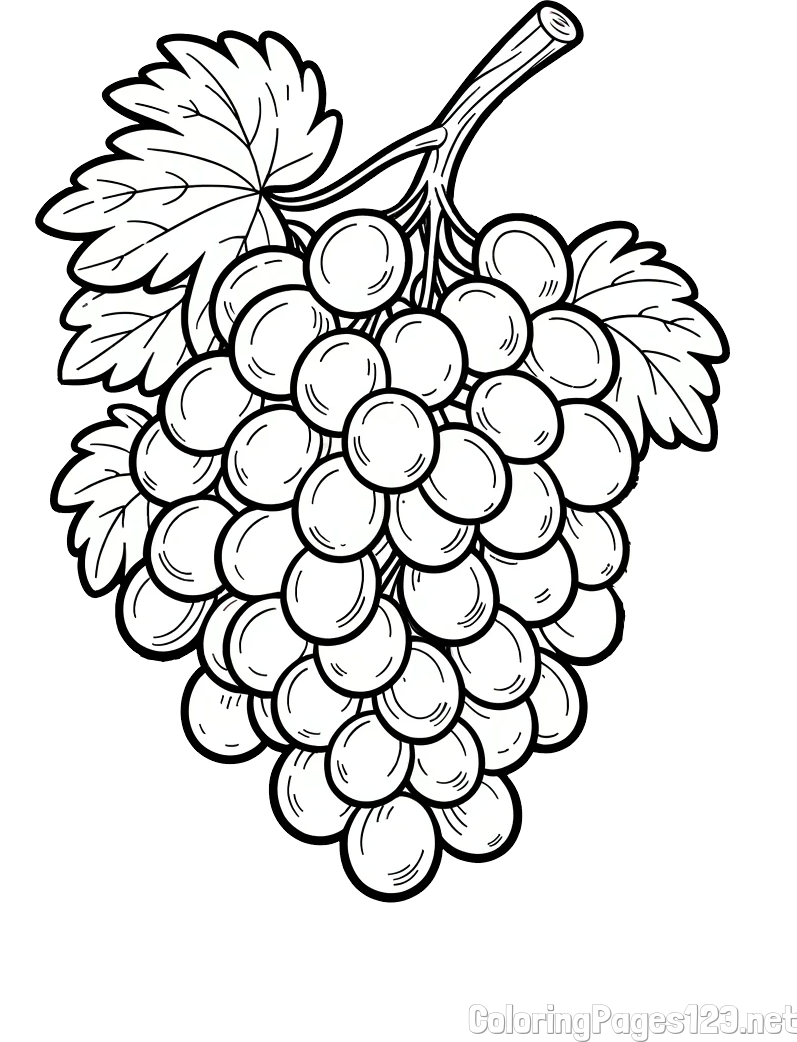 Realistic Grape Cluster Coloring Page