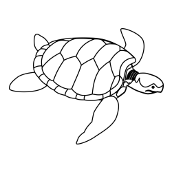 Realistic Sea Turtle Coloring Page