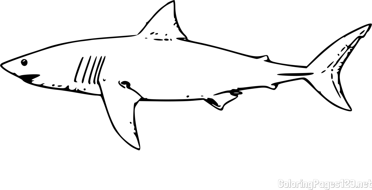 Realistic Shark Coloring Page