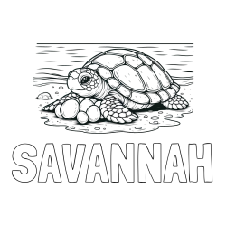 Online Created Coloring Page - SAVANNAH Coloring Page and Coloring Page of Turtle Laying Eggs
