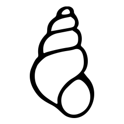 Sea Snail Shell Coloring Page