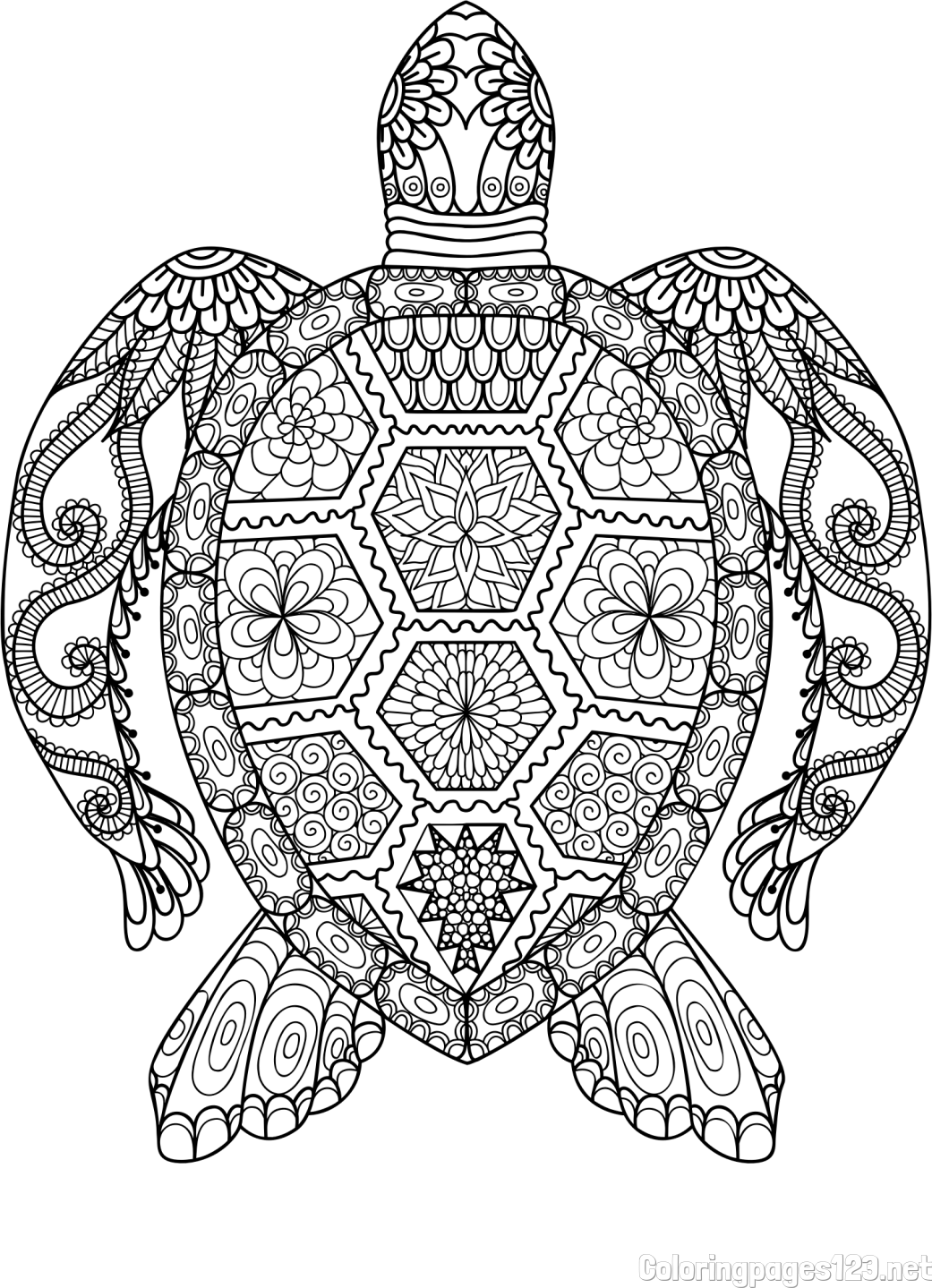 Sea Turtle Mandala Coloring Page