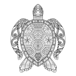 Sea Turtle Mandala Coloring Page