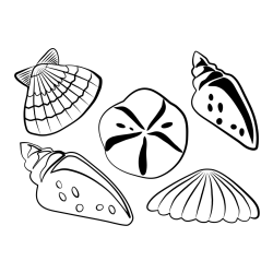 Seashells Coloring Page