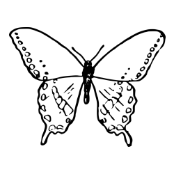 Simple and Realistic Butterfly Coloring Page