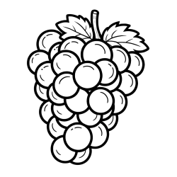 Simple Grape Cluster Coloring Page for Kids