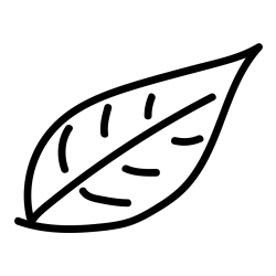 Simple Leaf Coloring Page for Kids