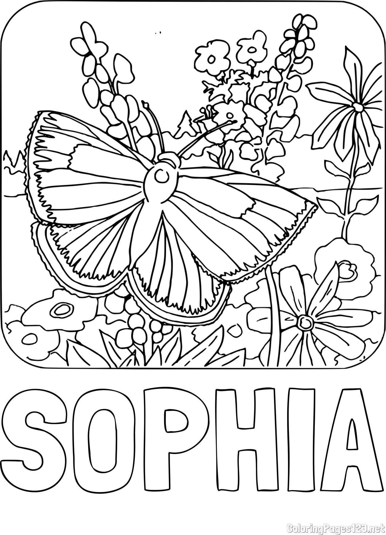 SOPHIA Coloring Page and Butterfly on Flower Coloring Page