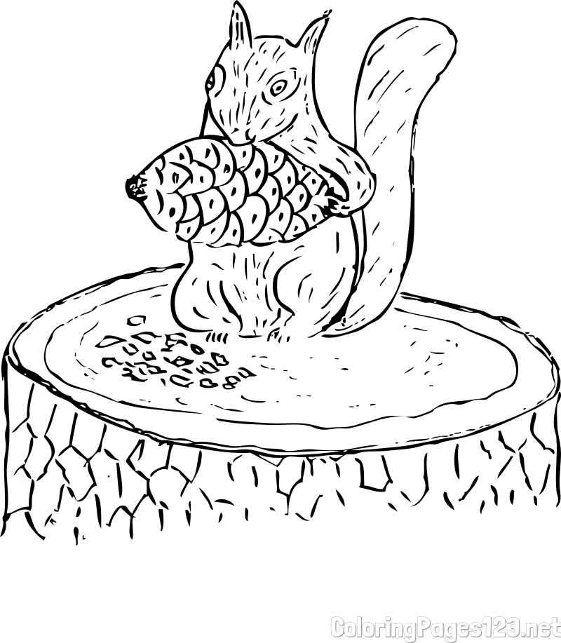 Squirrel Eating an Acorn Coloring Page