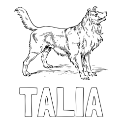 Online Created Coloring Page - TALIA Coloring Page and Coloring Page of an Adorable Dog