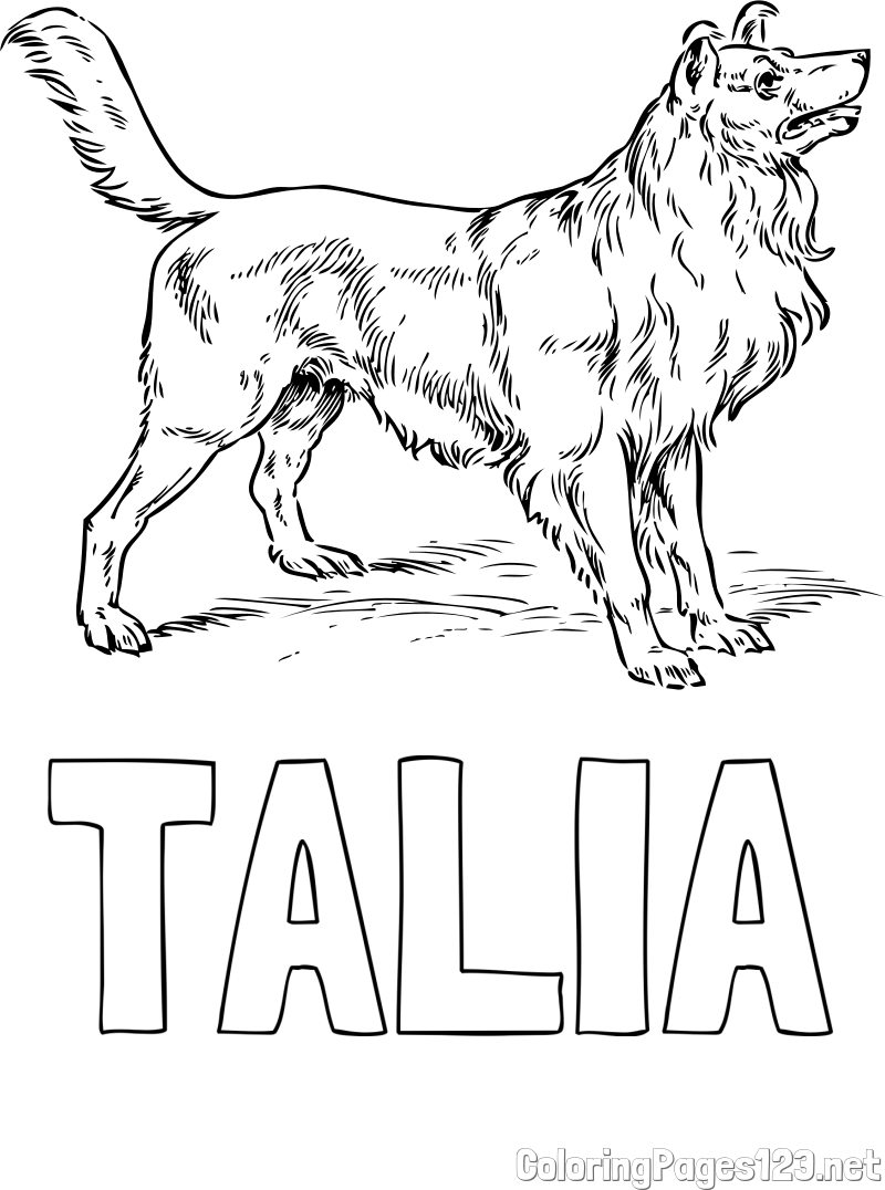 TALIA Coloring Page and Coloring Page of an Adorable Dog