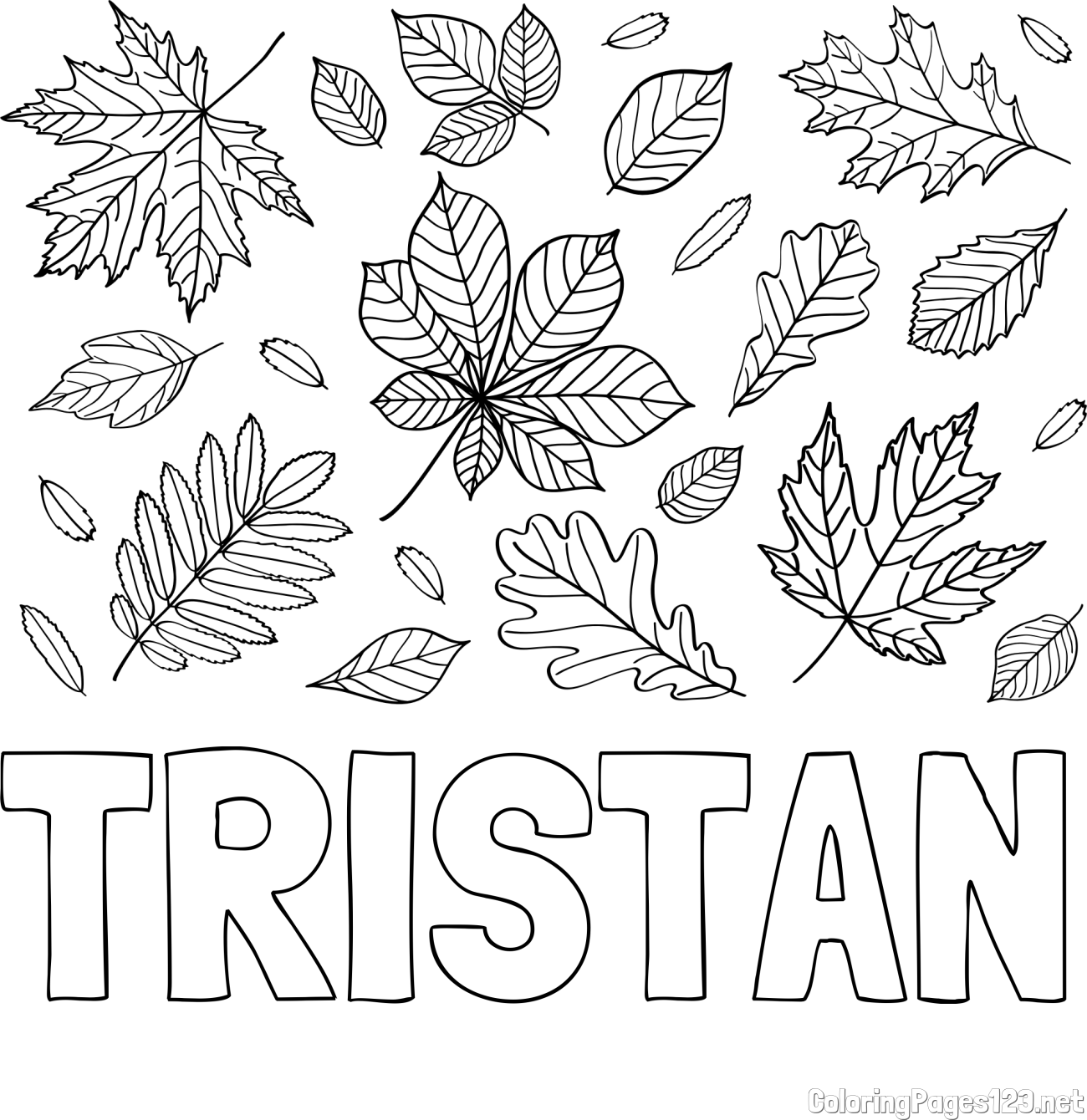 TRISTAN Coloring Page and Autumn Leaves Coloring Page