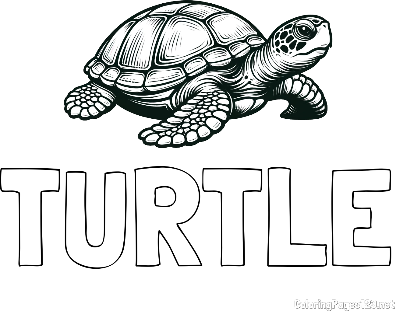 TURTLE Coloring Page and Coloring Page of a Realistic Turtle